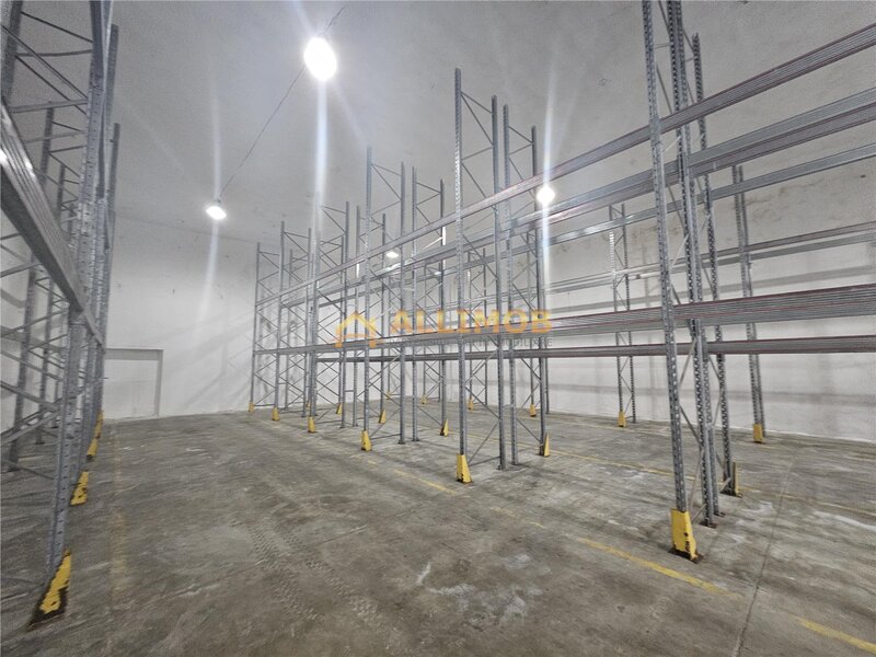 Ploiesti Spatiu de depozitare produse congelate de inchiriat