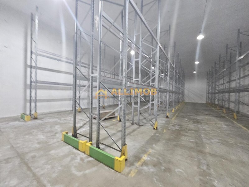 Ploiesti Spatiu de depozitare produse congelate de inchiriat