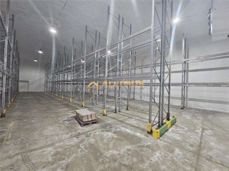 Ploiesti Spatiu de depozitare produse congelate de inchiriat
